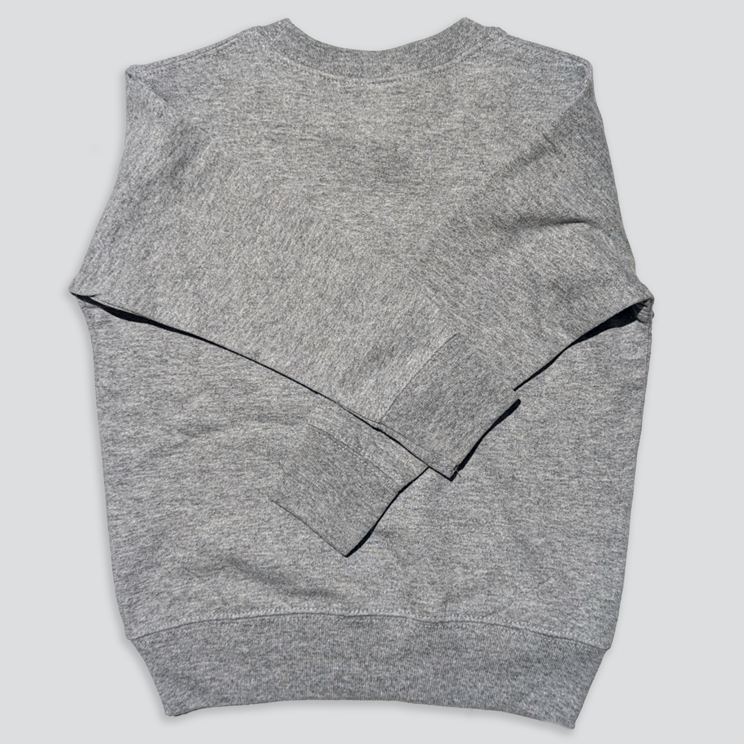 Gamer Boy Sweatshirt In Gray